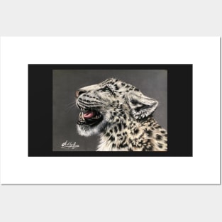 Snow Leopards Roar Posters and Art